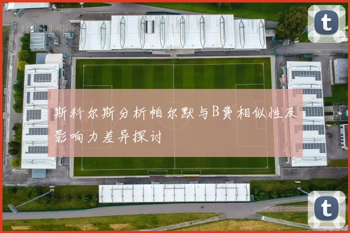 斯科尔斯分析帕尔默与B费相似性及影响力差异探讨