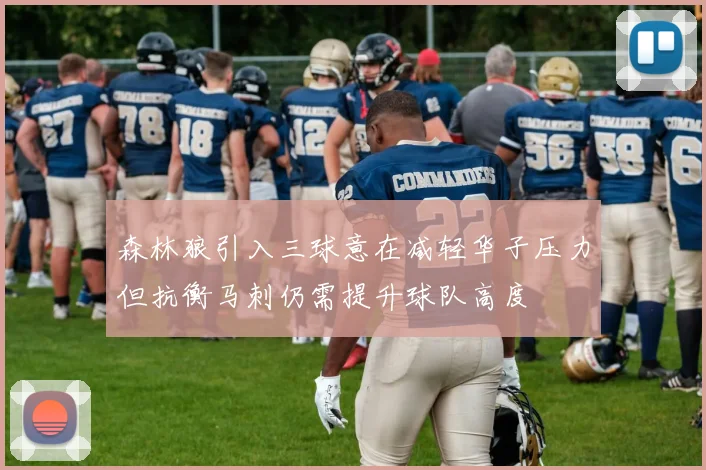 森林狼引入三球意在减轻华子压力但抗衡马刺仍需提升球队高度
